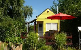 Ferienhaus Tiny Löwenzahn